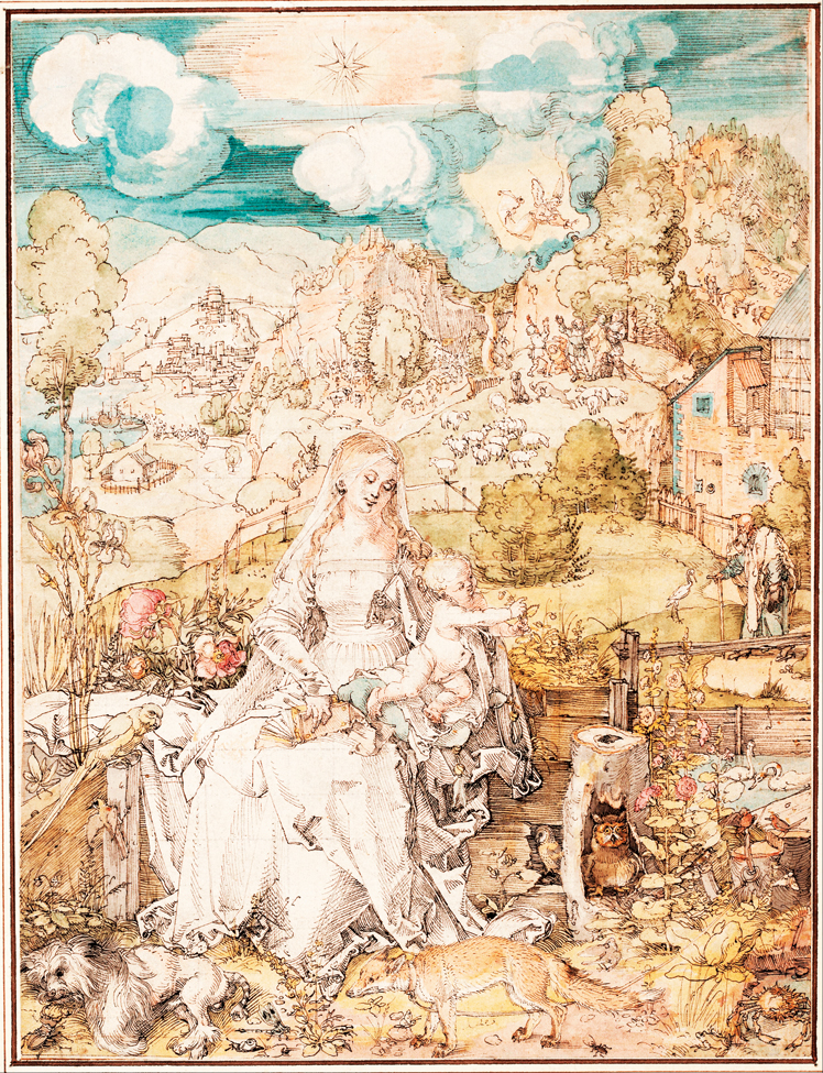   阿尔布雷特·丢勒Albrecht Dürer——素描与版画 (157)